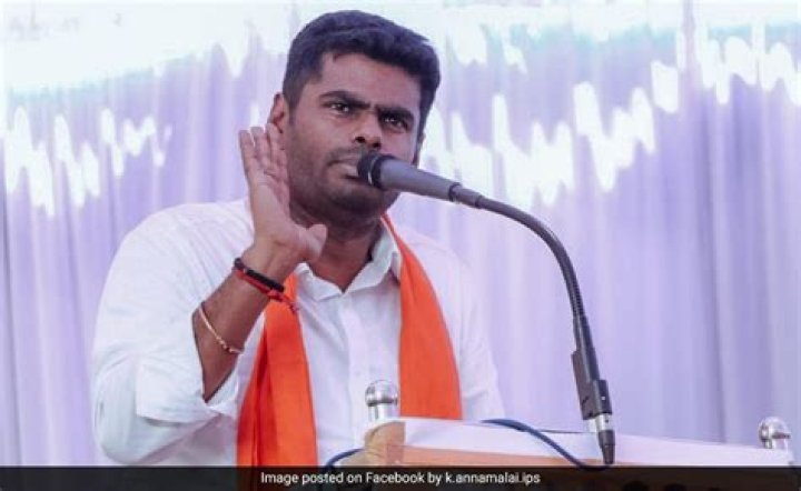 Tamil Nadu BJP Chief Seeks Governor's Intervention Over His "DMK Files"