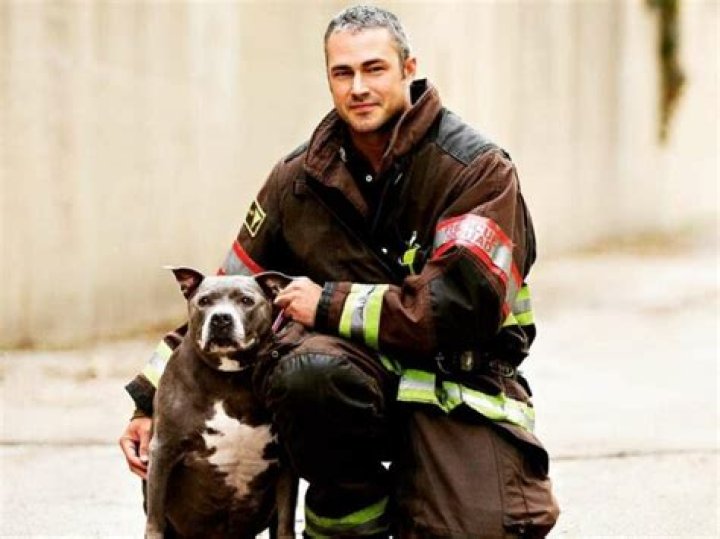 Taylor kinney biography age height weight family wiki more Artofit