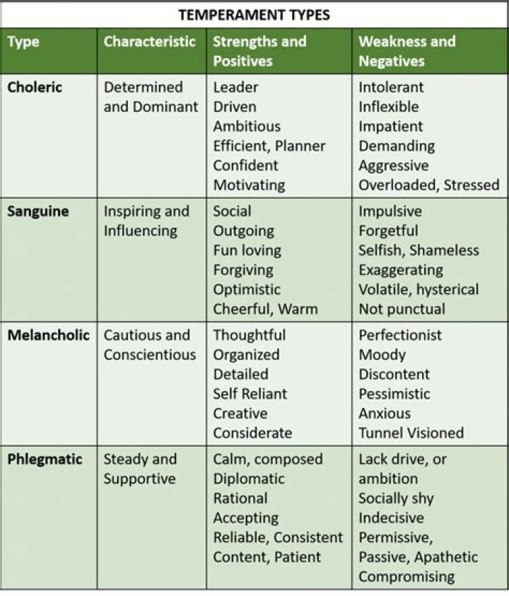 Temperament and Personality Types, Traits and Disorders