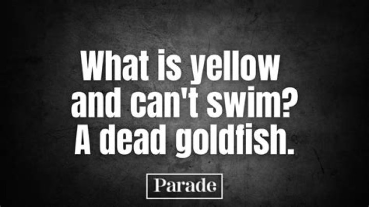 The 127 Best Dark Humor Jokes 2024