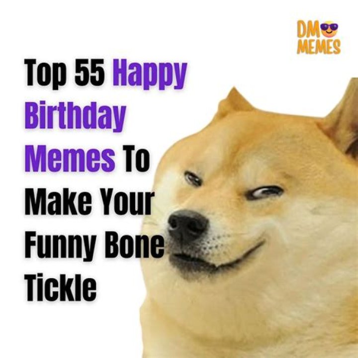 The 32 Best Funny Happy Birthday Pictures Of All Time