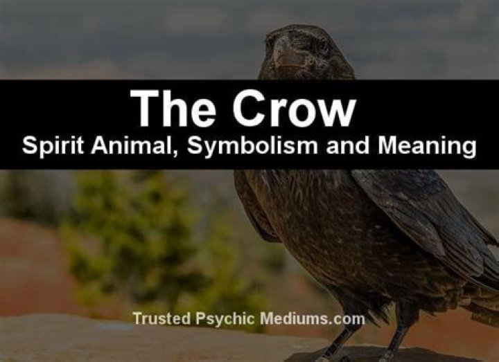 The Crow Spirit Animal A Beacon of Clarity and Insight (Message & Omens) Crow spirit animal