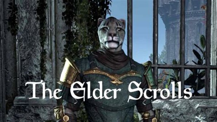 The Elder Scrolls History Of The Orcs, Explained