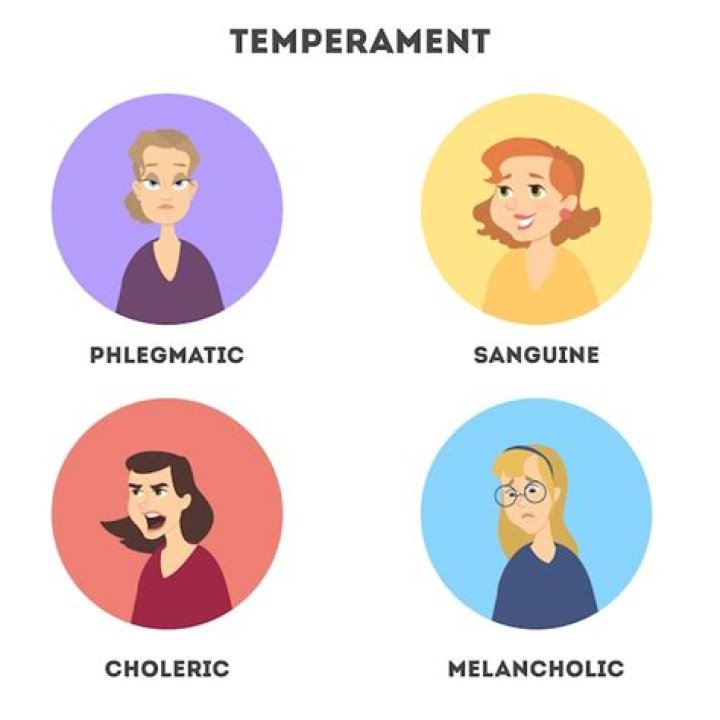 The Four HumanTemperament. Check Out Which One You Belong To