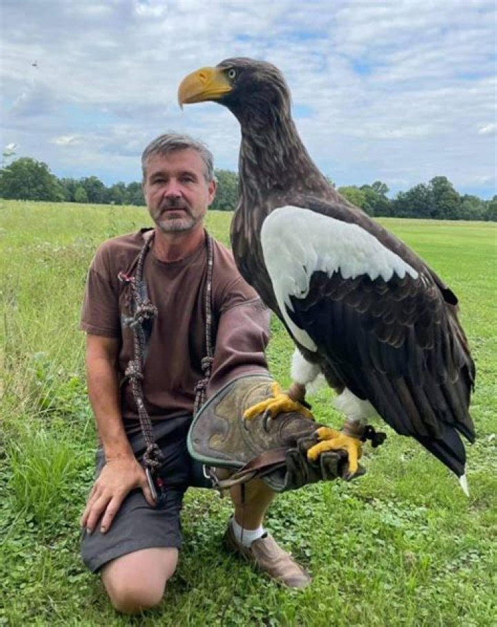 The Largest Eagle In The World Get Amazing Facts About Them
