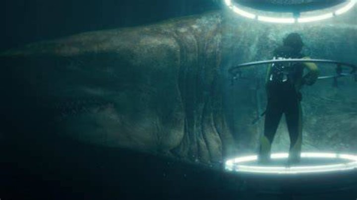 The Meg, megalodon sharks the truth explained The Advertiser