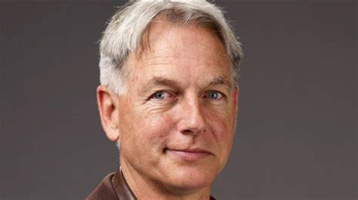 The Untold Truth of Mark Harmon Curious World