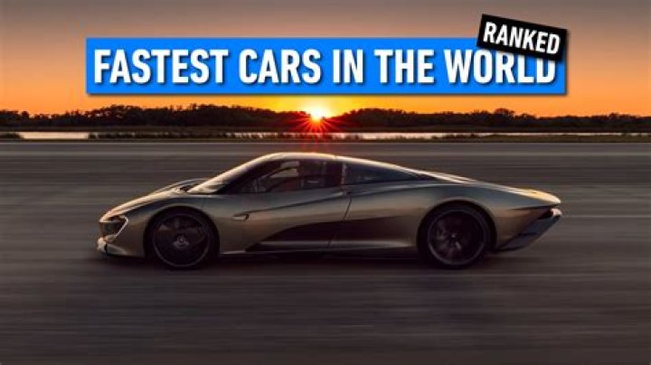 The World’s Top 10 Fastest Land Mammals Grand View Outdoors
