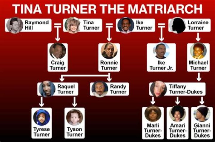 Tina Turner died without meeting grandchildren and greatgrandchildren
