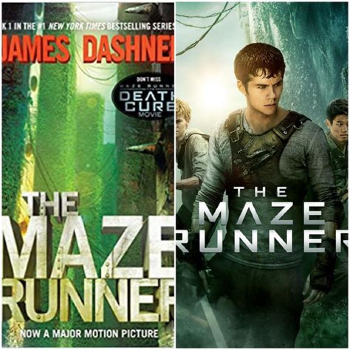 Top 19 maze runner mới nhất N&ocirc;ng Trại Vui Vẻ Shop