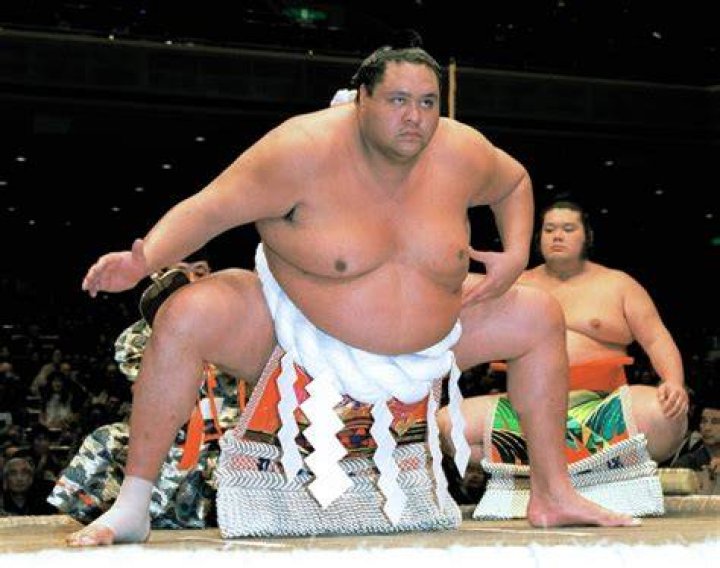 Topranked Hakuho intends to retire NHK Reuters