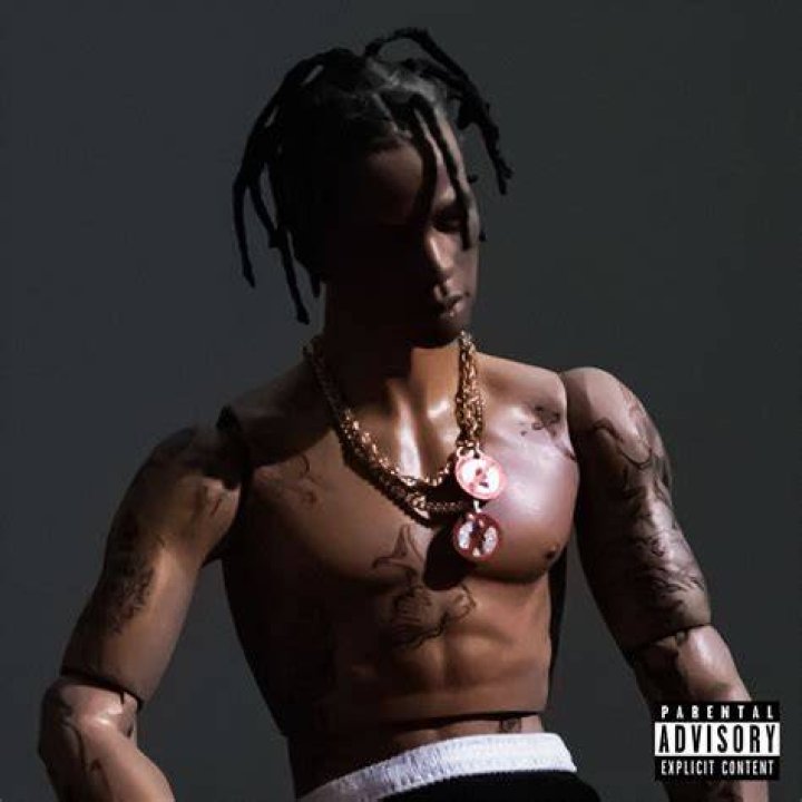Travis Scott Rodeo Album Cover Poster in 2022 Travis scott, Travis