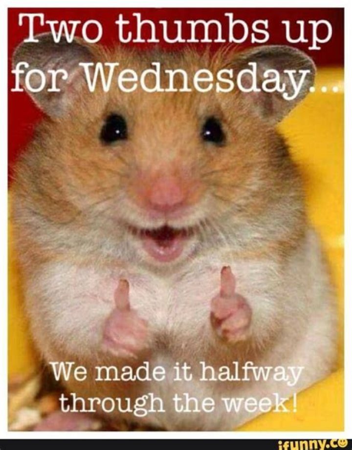 Two Thumbs Up For Wednesday Pictures, Photos, and Images for Facebook, Tumblr, Pinterest, and