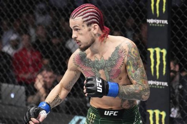 UFC Sean O’Malley Proposes Massive Bet to Rising Contender Ilia
