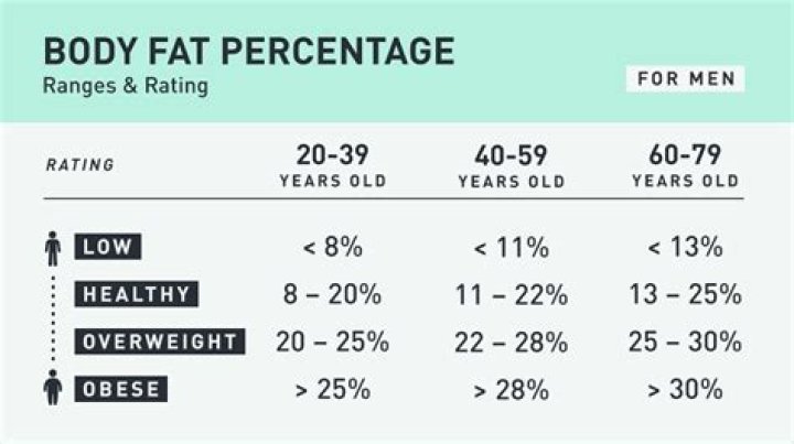 Understanding Body Fat Percentages MVP Training NZ