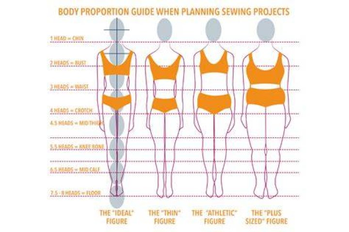 Understanding Body Proportions The Creative Curator