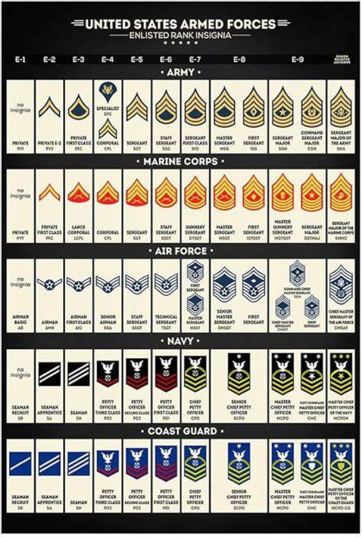 US Military Ranks Canvas Wall Art United States Enlisted and Officer Insignia Canvas Print Navy