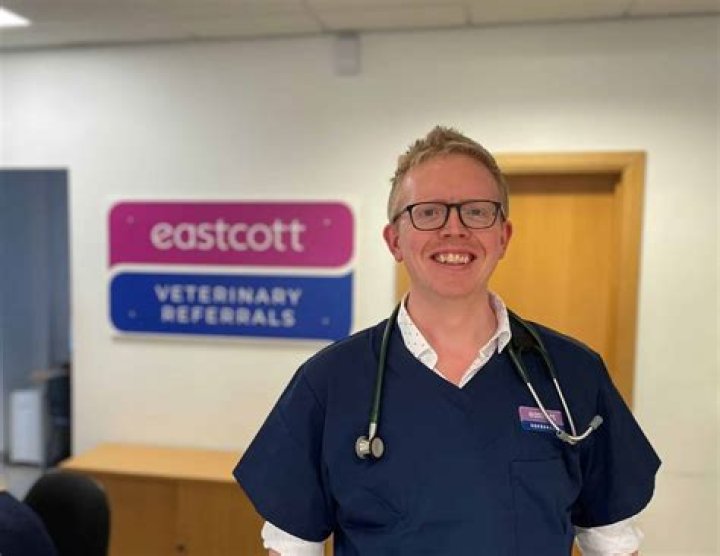 Veterinary Referral Blog News Eastcott Referral