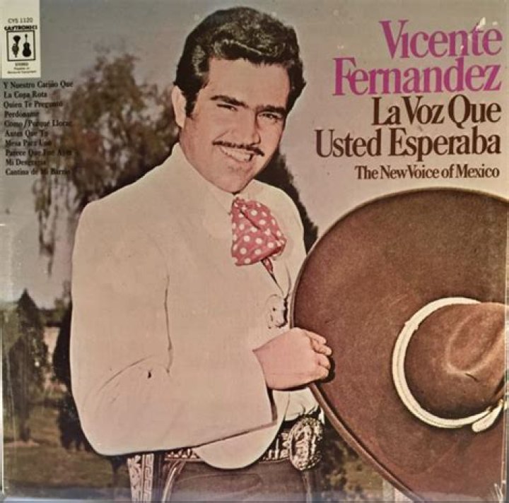 Vicente Fernandez Discography Discogs