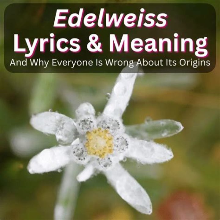 [View 45+] Song Lyrics Meaning Wonderwall