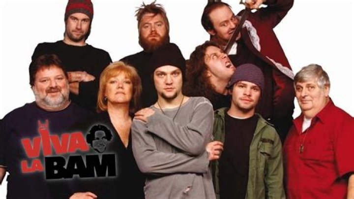 Viva la Bam (TV Series 20032006) IMDb