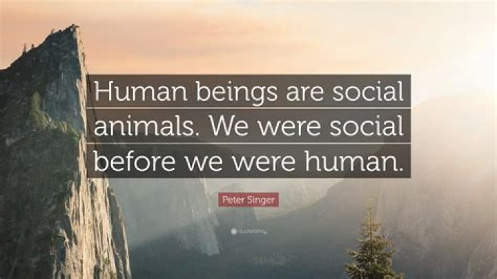 We are social animals