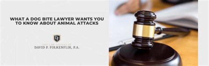 What a Dog Bite Lawyer Needs to Know Concerning Your Case