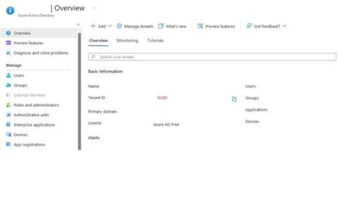 What Are Azure Tenantid Clientid Application Id And O vrogue.co