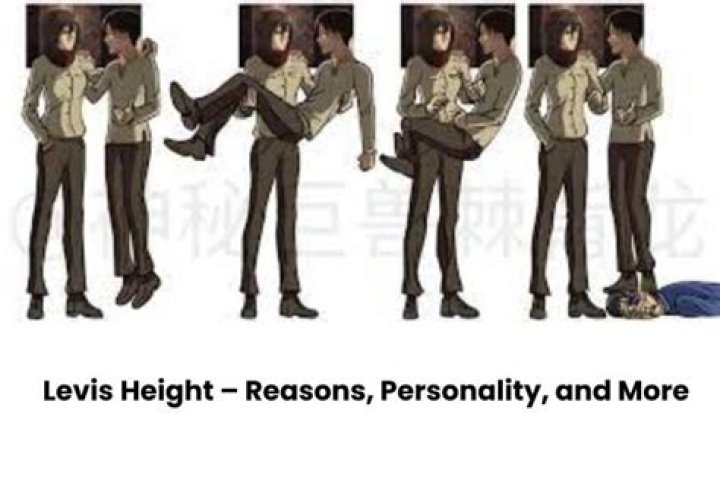 What Is Levi Height?