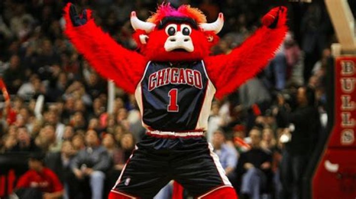 What is the Chicago Bulls Net Worth?