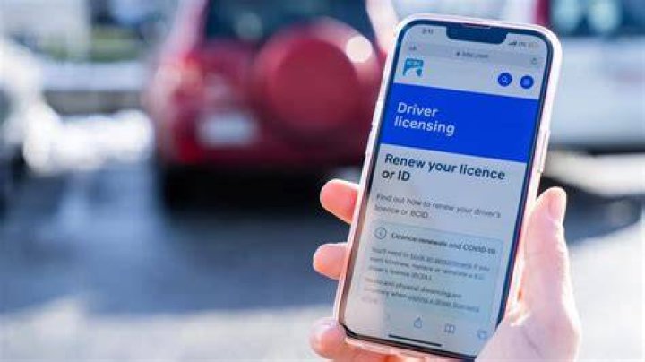 Where is my Driver&rsquo;s License Number? 2023