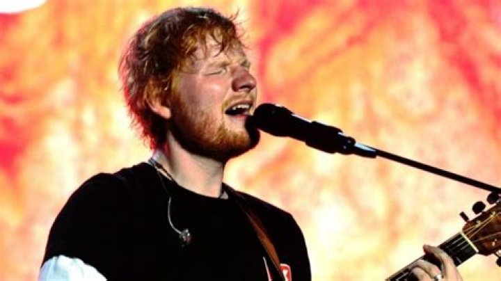 Who Is Imogen Sheeran? Facts About Ed Sheeran's Mother Dicy Trends