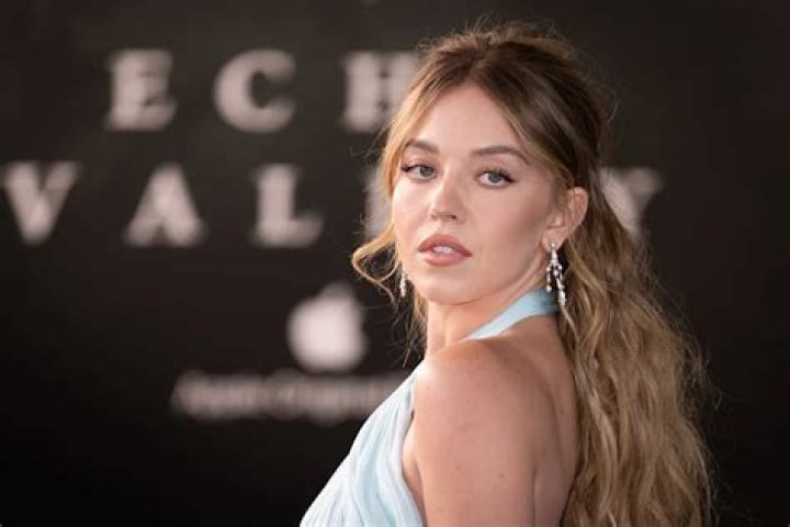 Who is Sydney Sweeney's Fianc&eacute; Jonathan Davino?