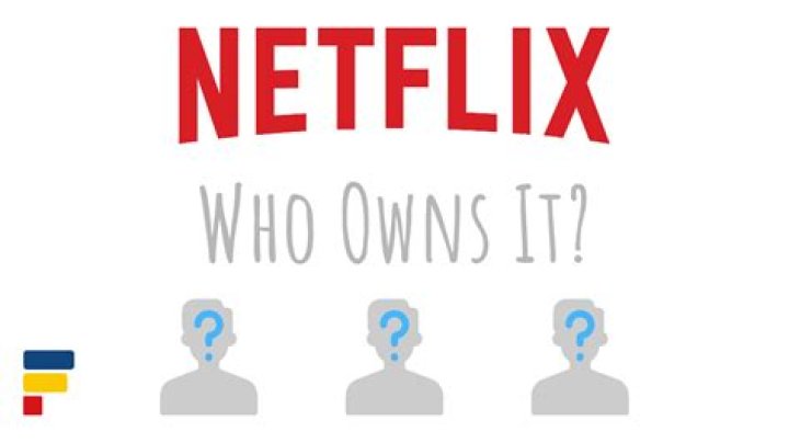 Who Owns Netflix The Largest Shareholders Overview KAMIL FRANEK Business Analytics