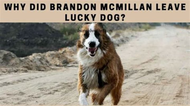 Why Did Brandon McMillan Leave 'Lucky Dog'?