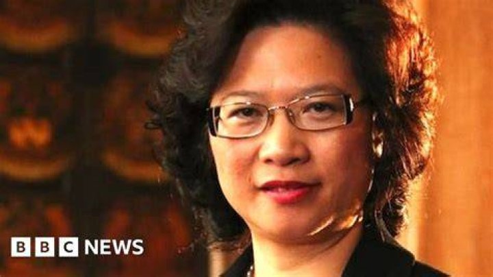 Why did MI5 name Christine Lee as an 'agent of influence'? BBC News