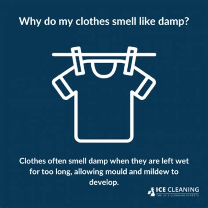 Why Do My Clothes Smell Like Corn Chips? Dryer Enthusiast