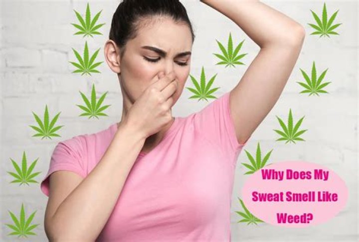Why Does My Sweat Smell Like Pee? Understanding The Causes And
