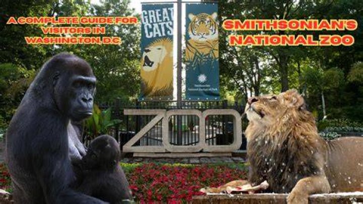 Zoo A Complete Guide